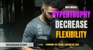 Muscle Hypertrophy and Flexibility: Friends or Foes?