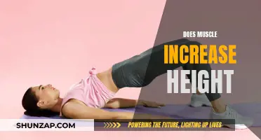 Muscle and Height: Can Muscles Make You Taller?