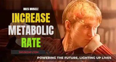 Muscle Tissue and Metabolic Rate: What's the Connection?