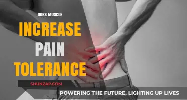 Muscle Mass and Pain Tolerance: Unraveling the Surprising Connection