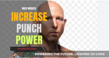 Muscle Power: Punching Harder with Strength Training