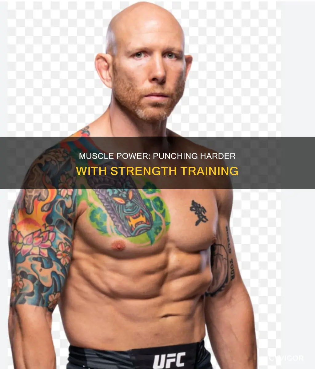 does muscle increase punch power