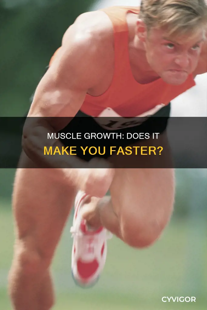 does muscle increase speed