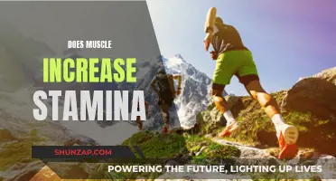 Muscle Power: Increasing Stamina with Strength Training