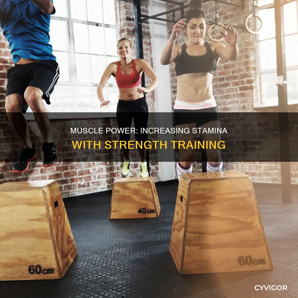 does muscle increase stamina