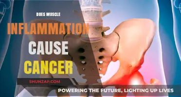 Muscle Inflammation and Cancer: Is There a Link?