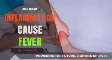 Muscle Inflammation and Fever: What's the Link?