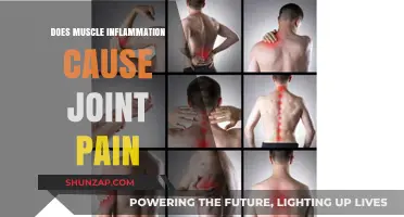 Muscle Inflammation and Joint Pain: What's the Link?