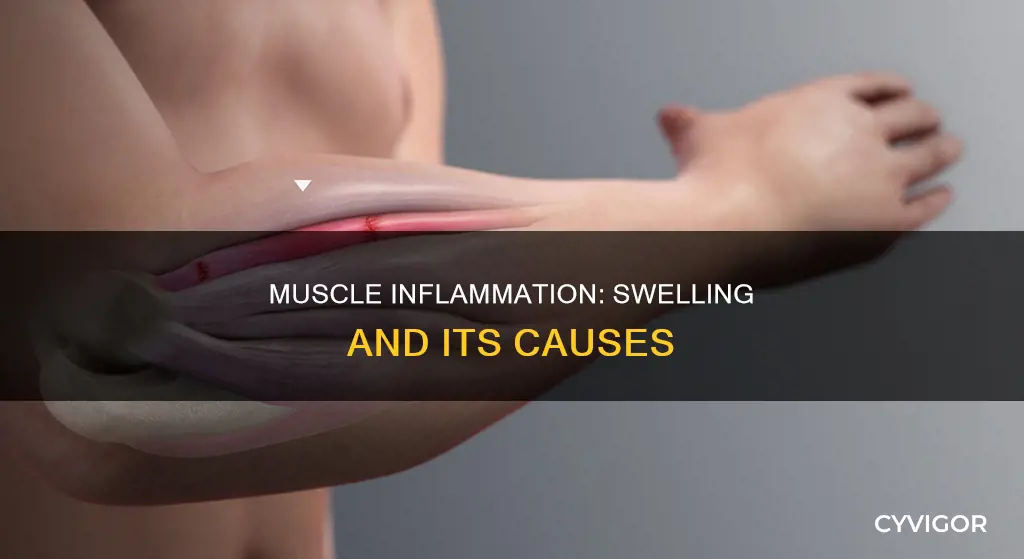 does muscle inflammation cause swelling