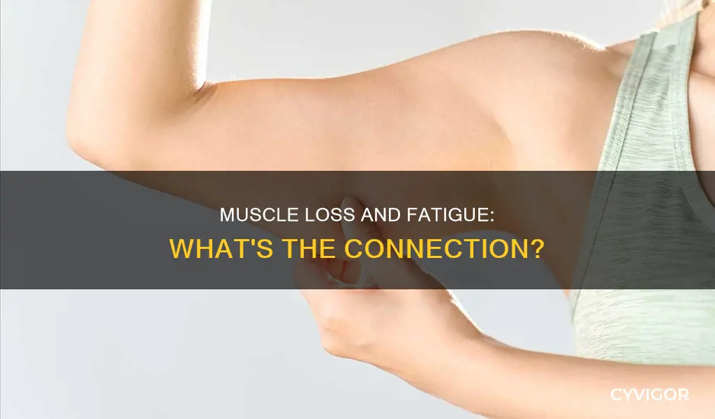 does muscle loss cause fatigue
