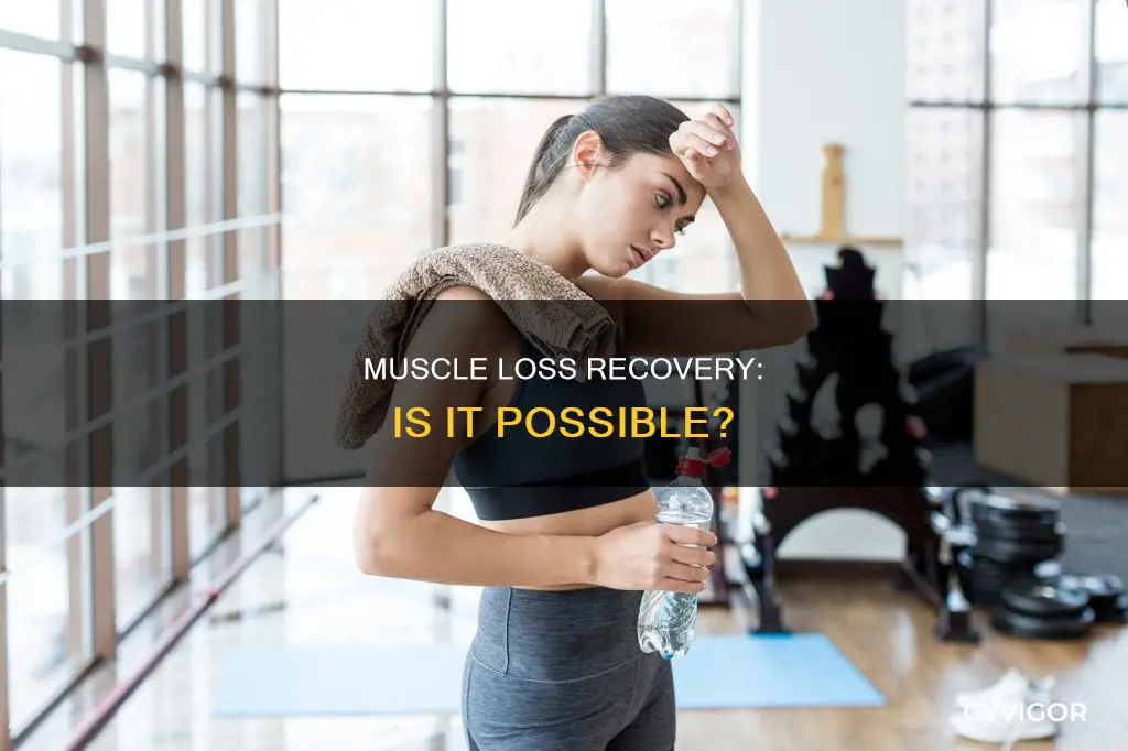 does muscle loss recover