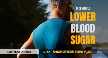 How Muscle Mass Affects Blood Sugar Levels