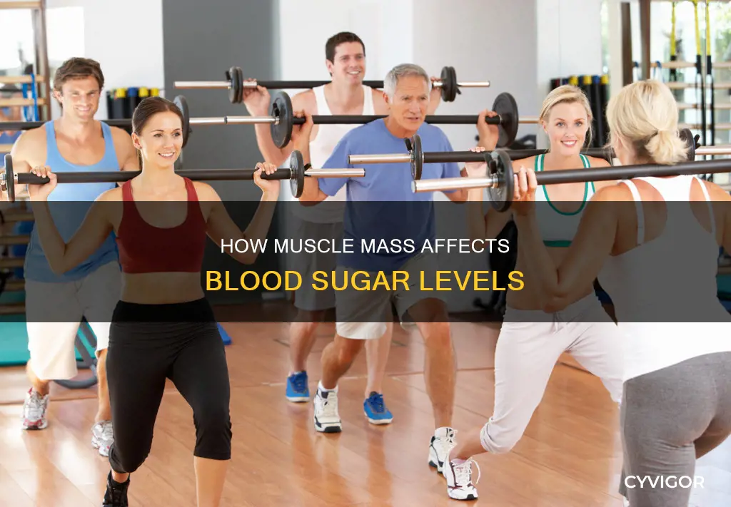 does muscle lower blood sugar