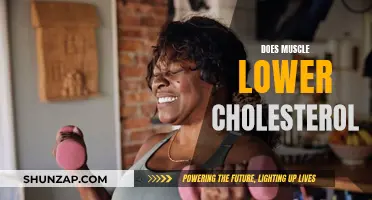 Muscle Power: Lowering Cholesterol, Improving Health