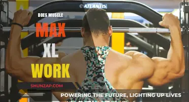 Does Muscle Max XL Deliver Results? A Comprehensive Review and Analysis