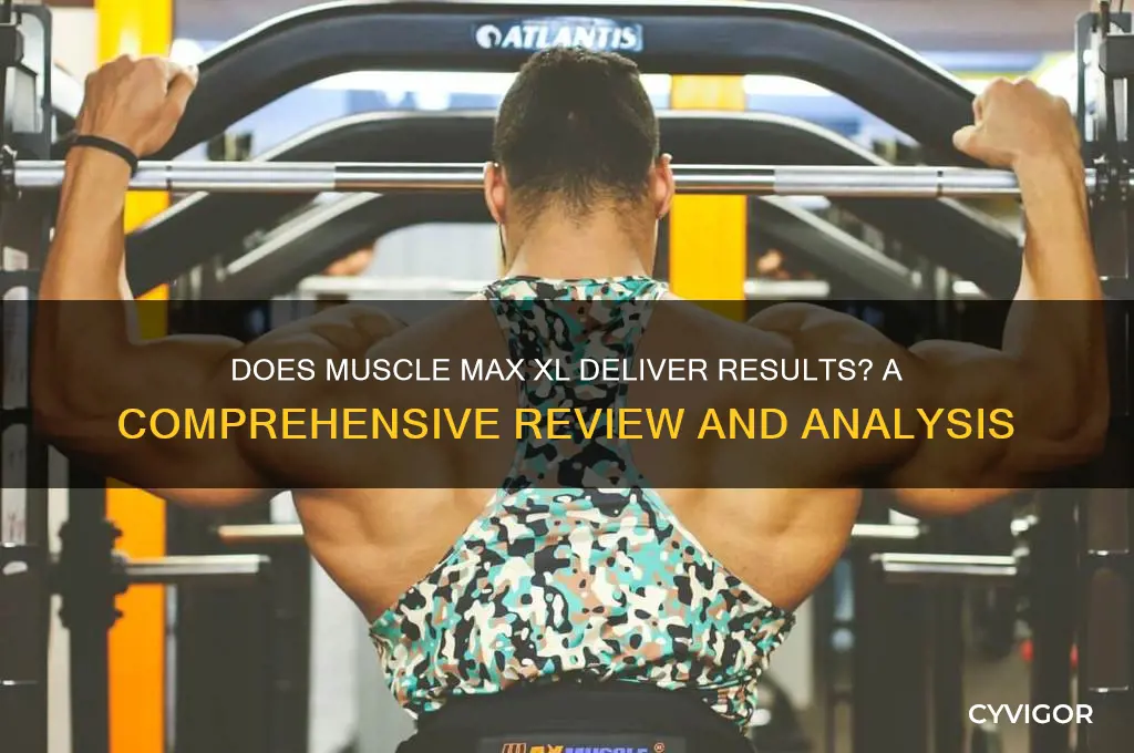 does muscle max xl work