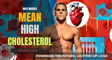 Muscle and Cholesterol: Is There a Link?