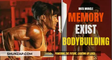 The Myth of Muscle Memory in Bodybuilding