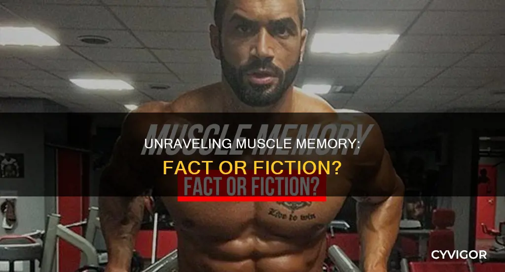 does muscle memory exist