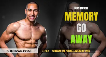 How Long Does Muscle Memory Last?