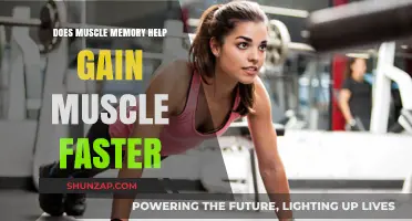 Muscle Memory: The Secret to Accelerating Your Muscle Gain?