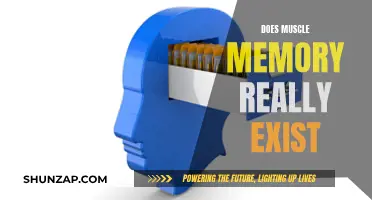 Muscle Memory: Fact or Fiction?