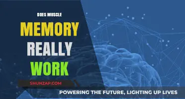 Does Muscle Memory Really Work? Unlocking the Science Behind It