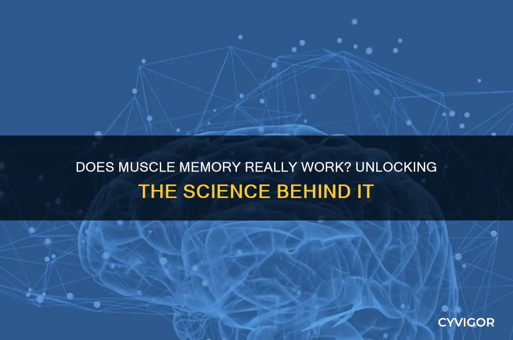 does muscle memory really work