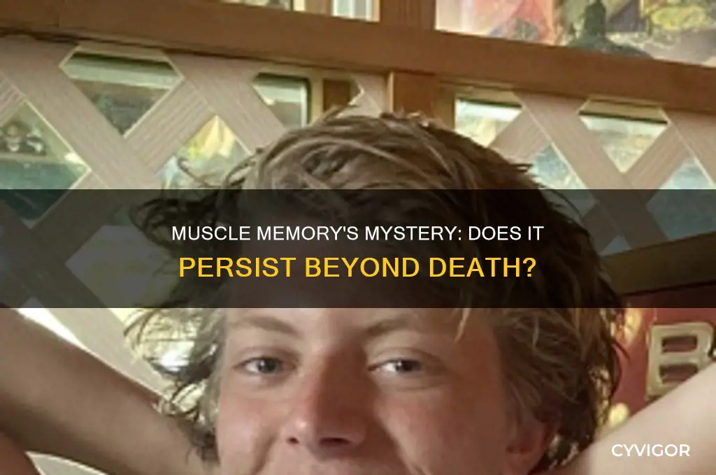 does muscle memory work after death