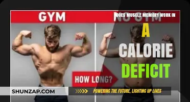 Muscle Memory in Calorie Deficit: Fact or Fitness Myth?