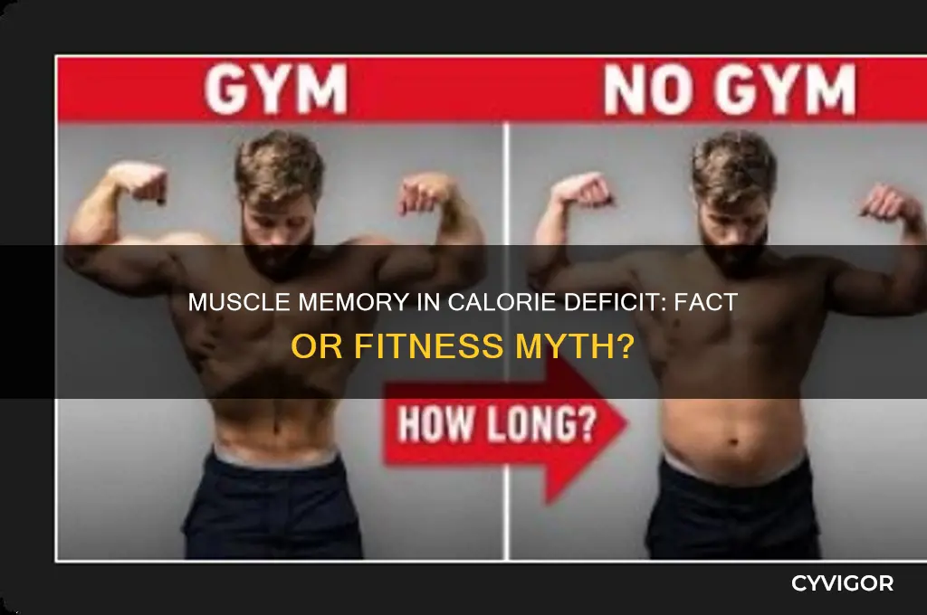 does muscle memory work in a calorie deficit