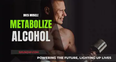 Muscle Tissue and Alcohol Metabolism: What's the Connection?