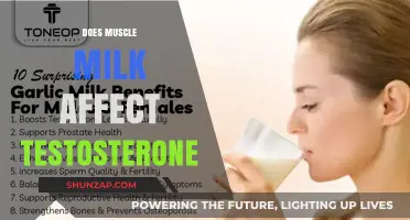 Does Muscle Milk Boost Testosterone Levels? A Comprehensive Analysis