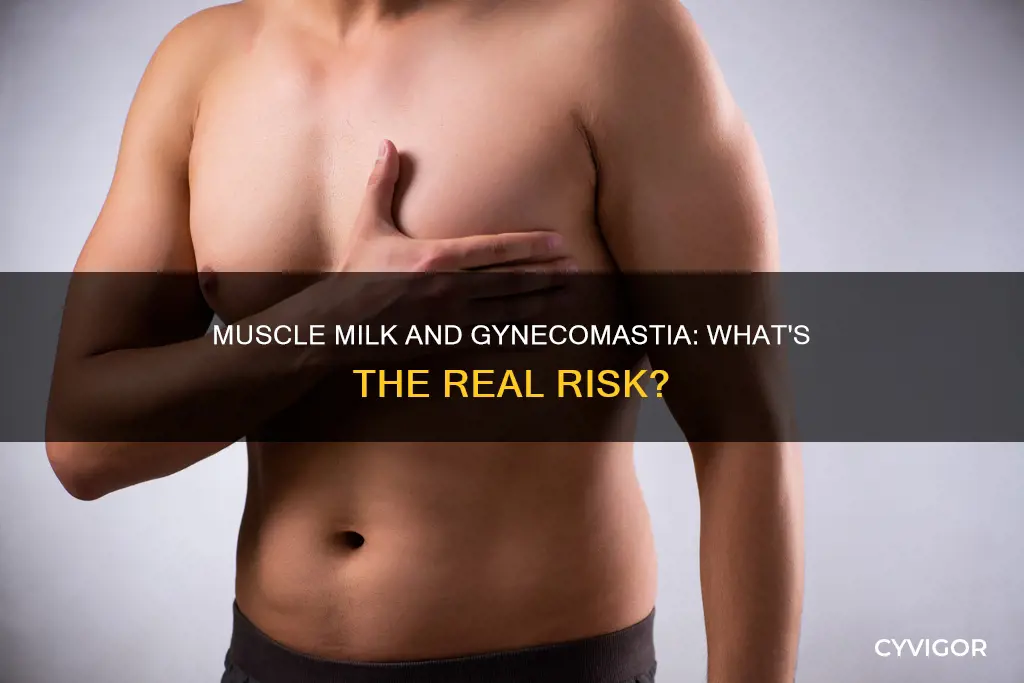 does muscle milk cause gynecomastia