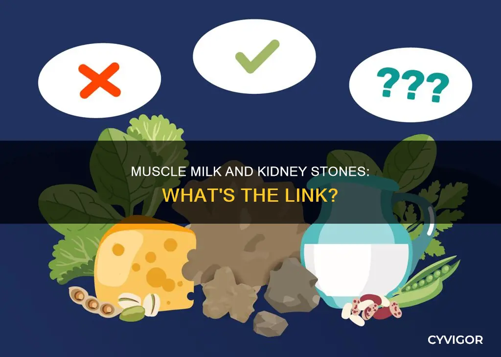 does muscle milk cause kidney stones