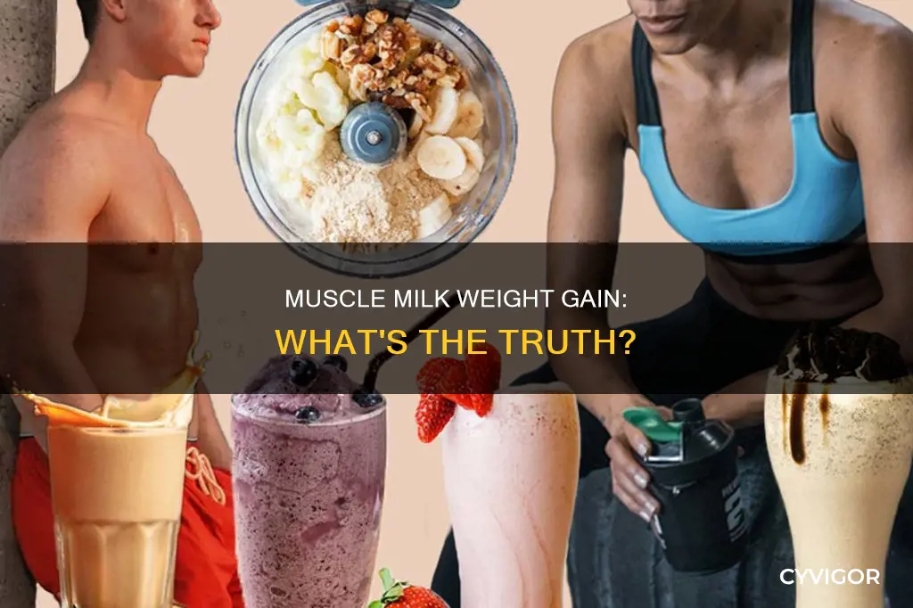 does muscle milk cause weight gain