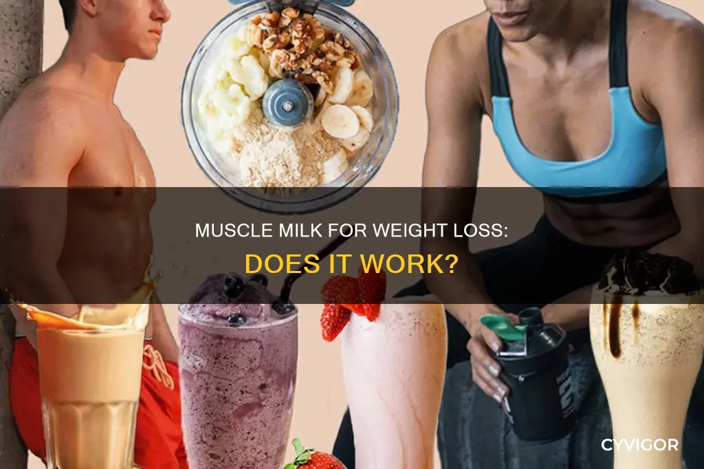 does muscle milk cause weight loss