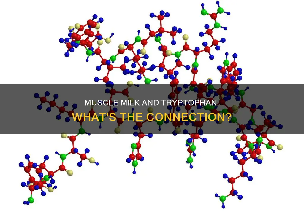 does muscle milk contain tryptophan