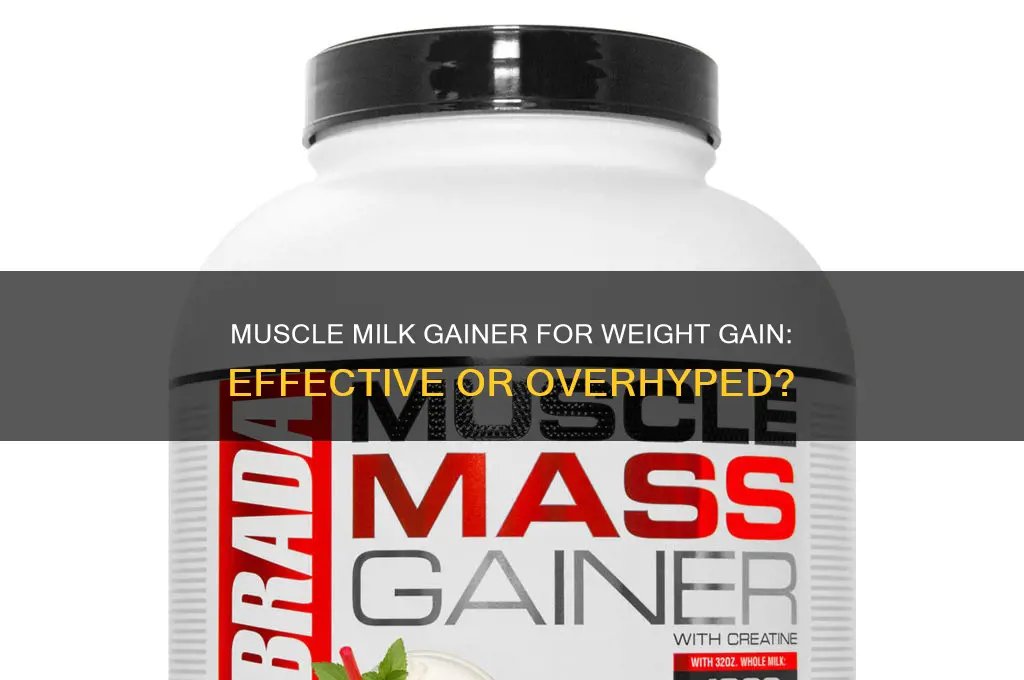 does muscle milk gainer help you gain weight