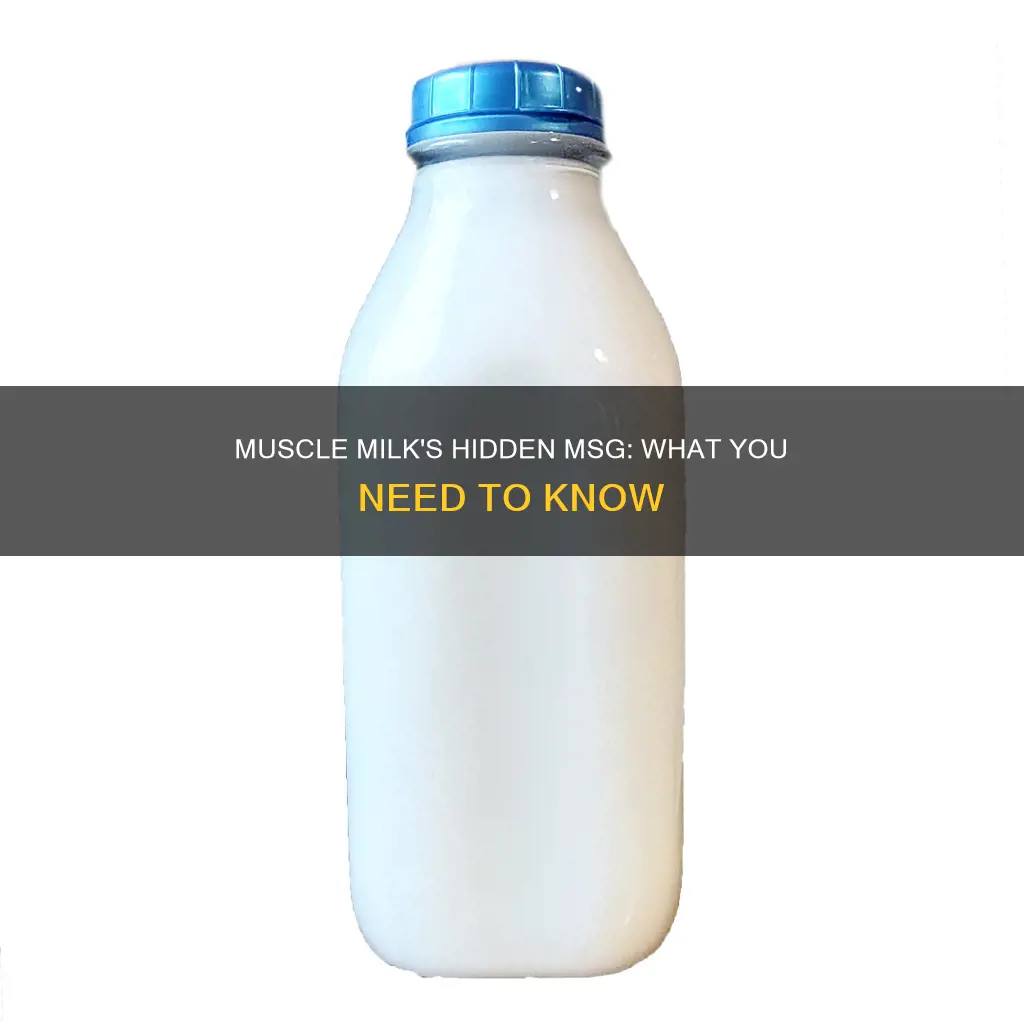 does muscle milk have msg