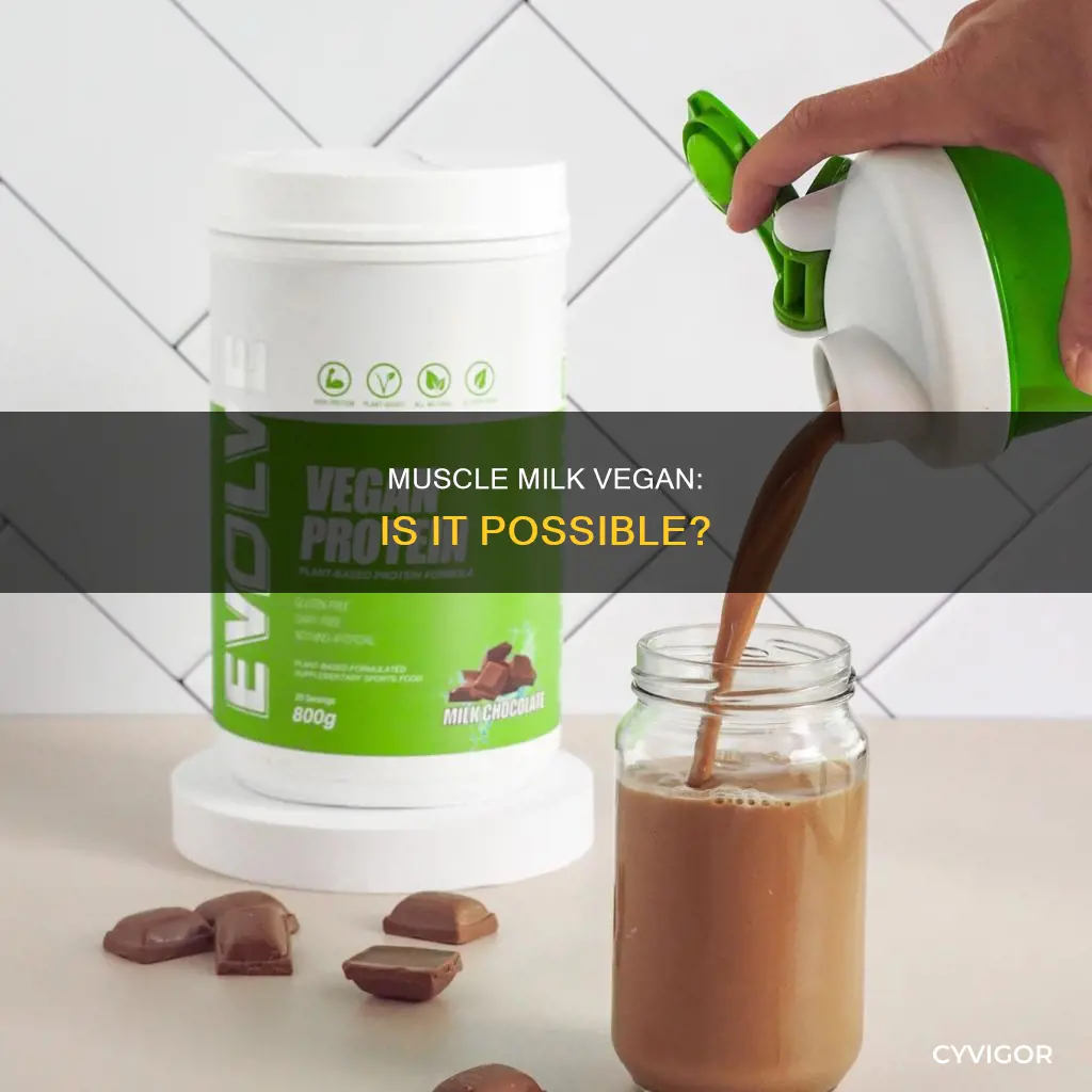 does muscle milk vegan