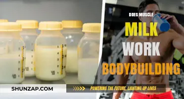 Does Muscle Milk Boost Bodybuilding Results? A Comprehensive Review