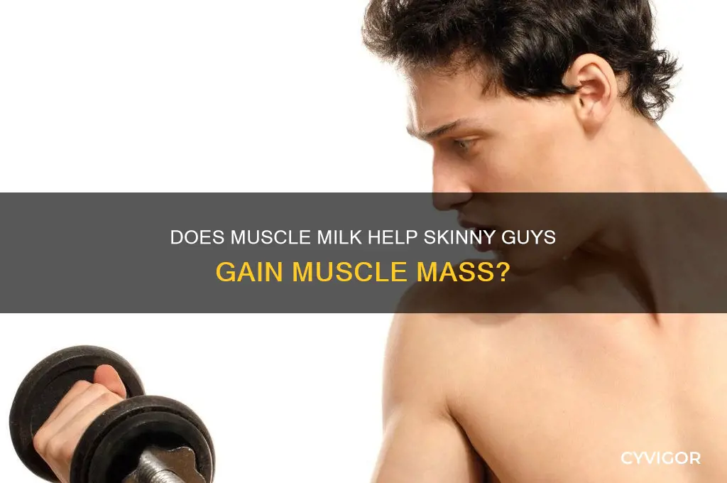 does muscle milk work for skinny guys
