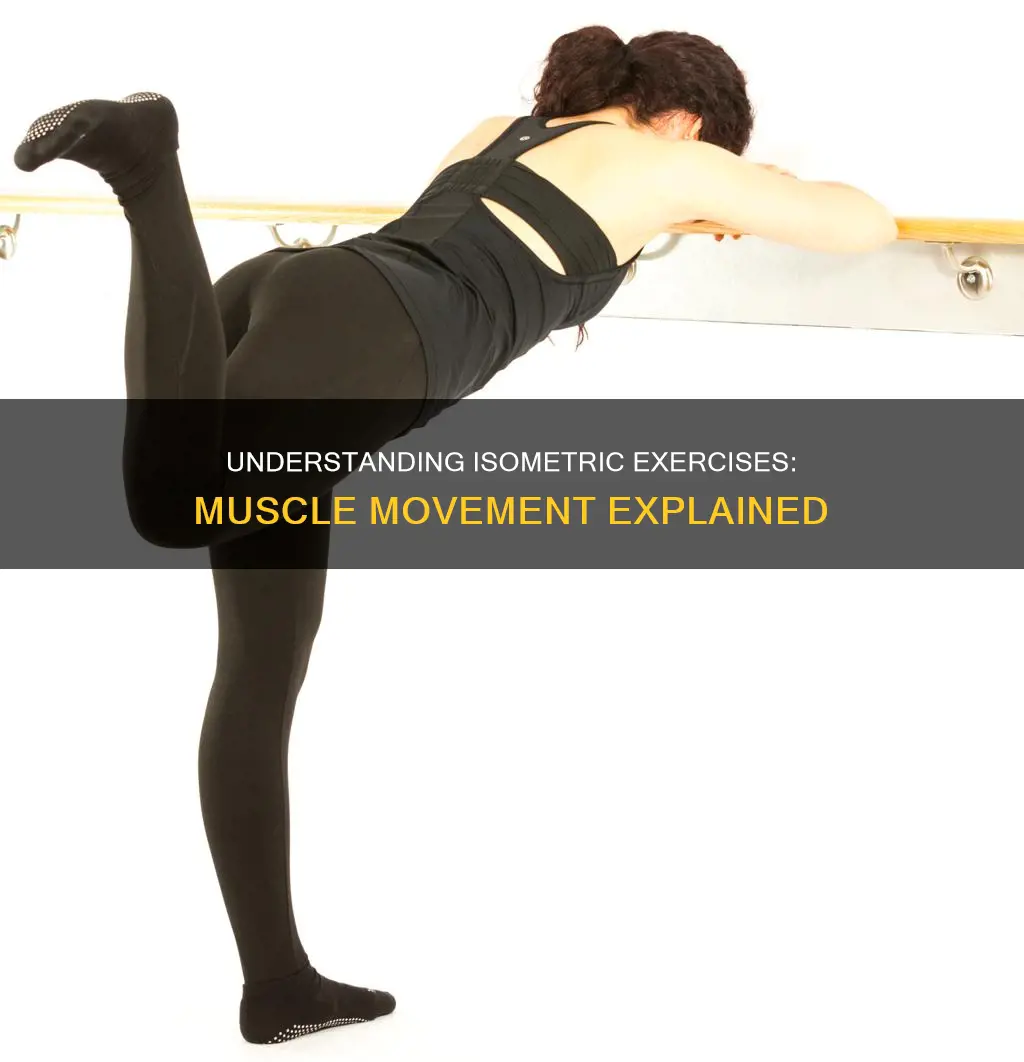 does muscle move in isometric
