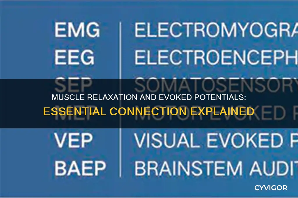 does muscle need to be relaxed for evoked potentials