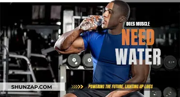 Hydration for Muscle Health: How Much Water Do Muscles Need?