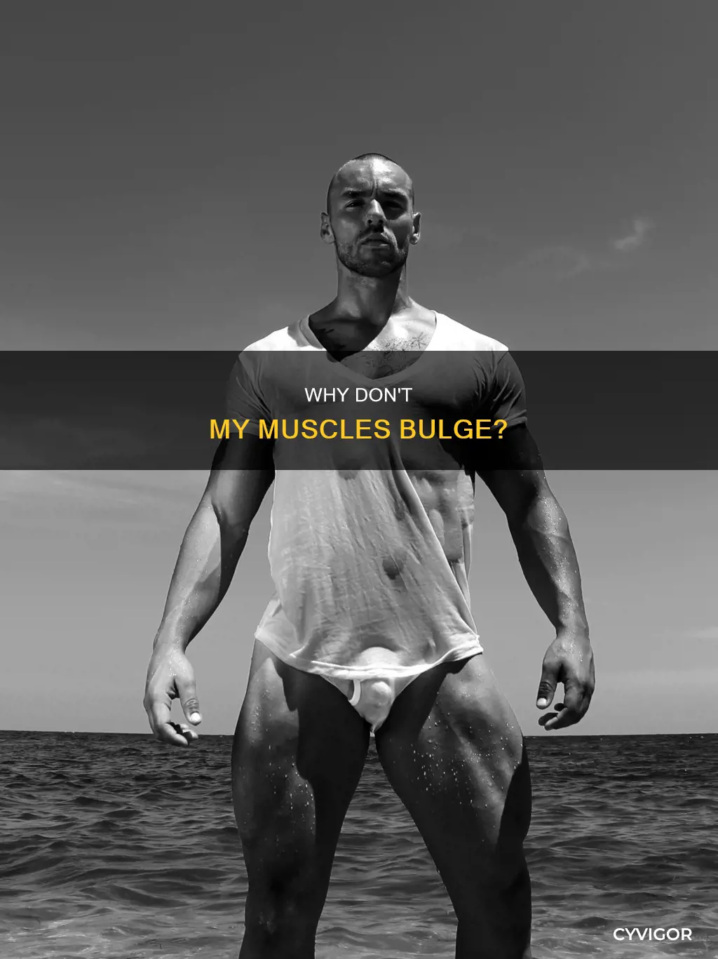 does muscle not bulge