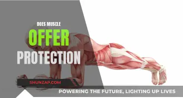 Muscle Protection: Fact or Fiction?