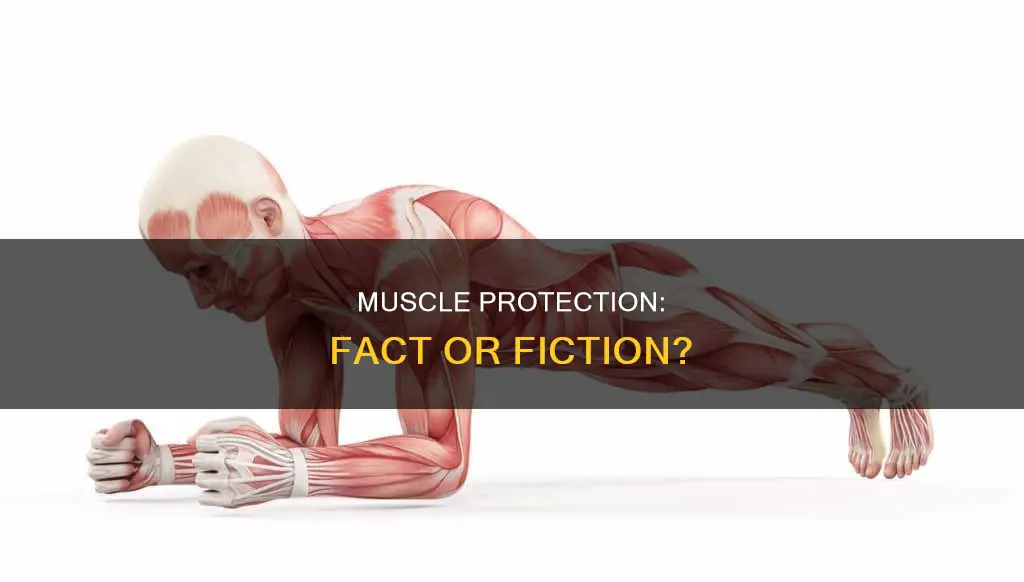 does muscle offer protection