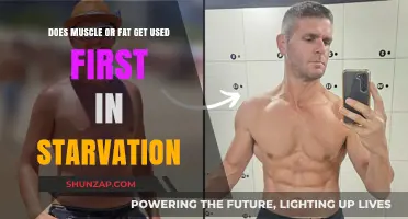 Unraveling the Mystery: Muscle vs. Fat Utilization in Starvation